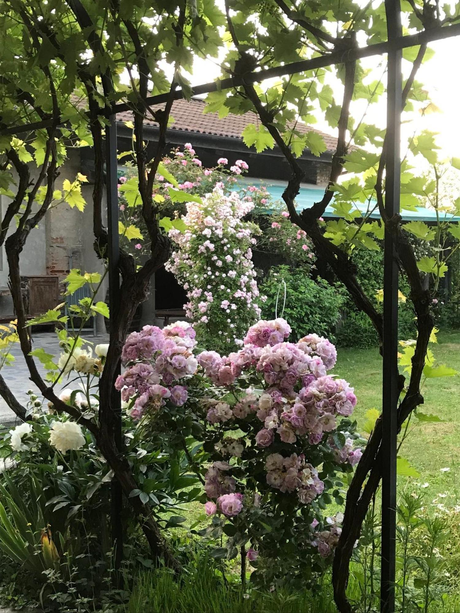 B&B Cascina Marie Bricherasio Esterno foto